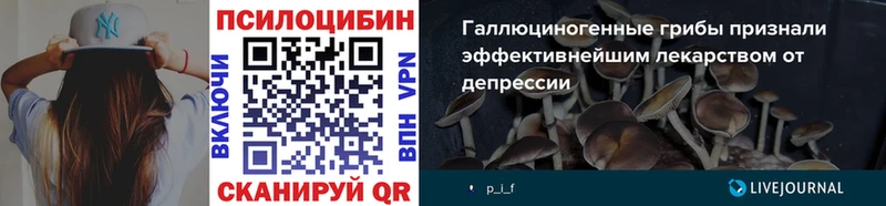 гидра как войти  Петухово  Псилоцибиновые грибы мицелий 